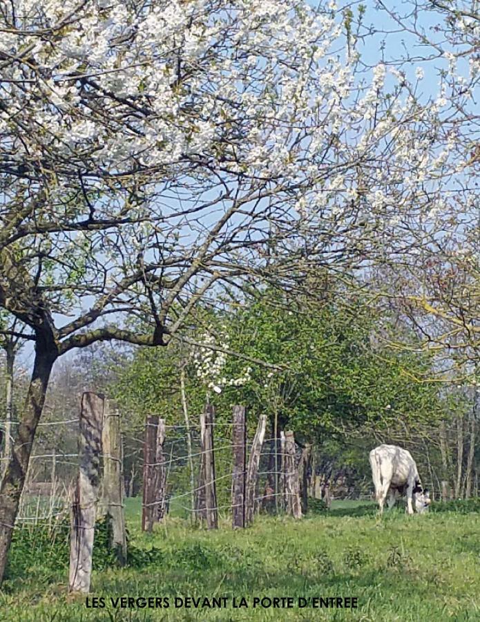 La Cense Pierrot Des Princes Saint-Amand-les-Eaux Exteriér fotografie
